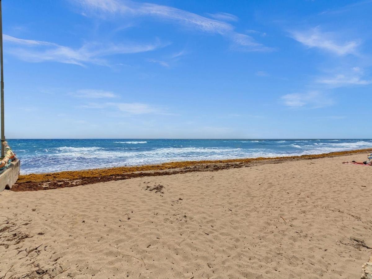The Shell On Walnut Studio With Bath Hollywood Beach Free Parking Dania Beach Εξωτερικό φωτογραφία