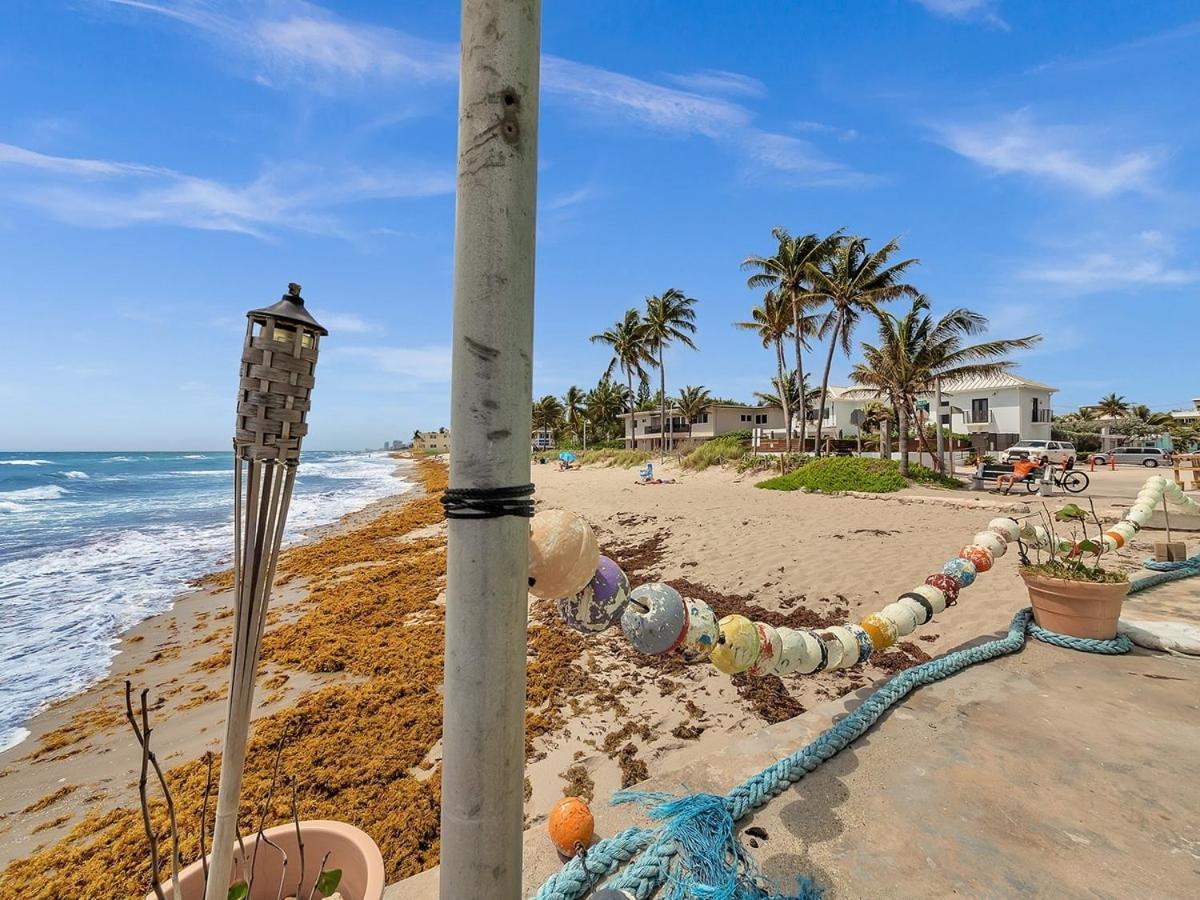 The Shell On Walnut Studio With Bath Hollywood Beach Free Parking Dania Beach Εξωτερικό φωτογραφία